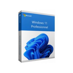 Microsoft Windows 11 Professionnel 64 bits Français (Licence originale + DVD) (FQC-10532